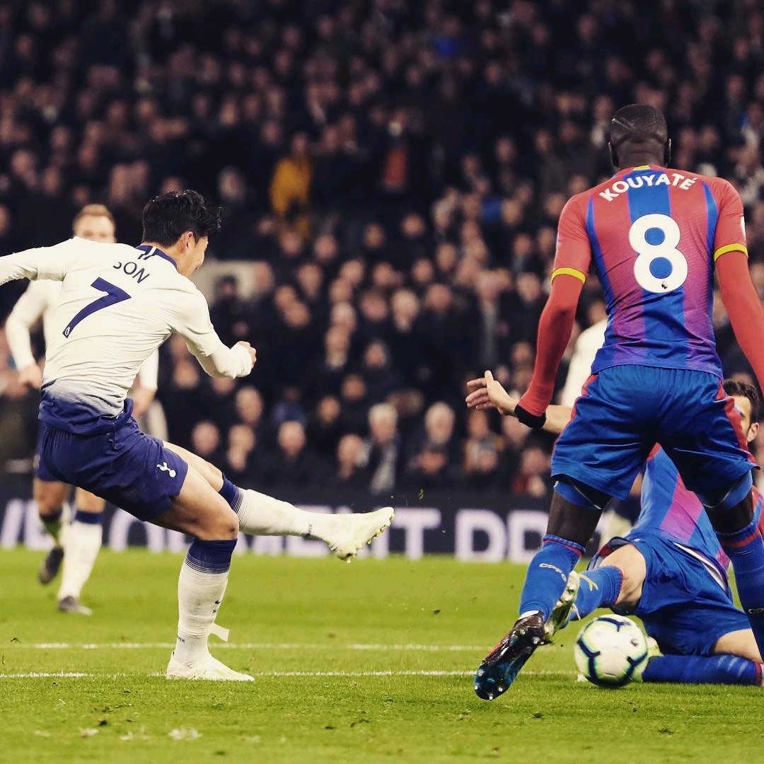 数量非欧洲 数量非欧洲